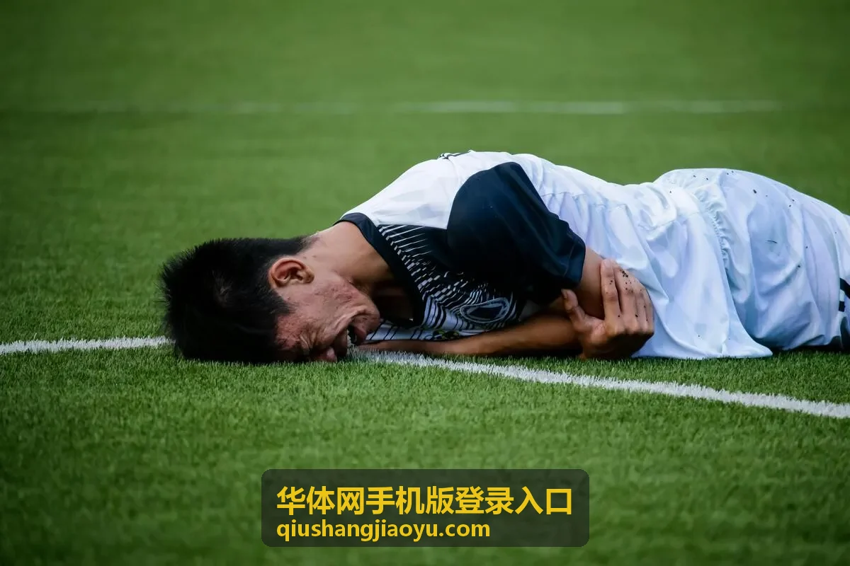 华体网手机版登录入口账号安全与通道维护页面入口